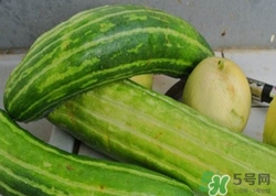 菜瓜到底是不是黃瓜？ 菜瓜和黃瓜的區(qū)別