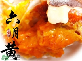 六月黃是什么蟹？六月黃什么時(shí)候上市