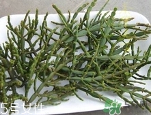 螃蟹腳茶多少錢(qián)一斤2017？螃蟹腳茶的價(jià)格