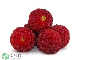 吃完楊梅不能吃什么？吃完楊梅可以吃別的水果嗎？