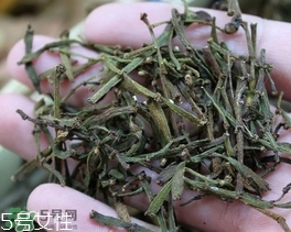 螃蟹腳茶哪些人不能喝？螃蟹腳茶哪些人能喝