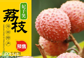 妃子笑荔枝多少錢一斤？2017妃子笑荔枝價(jià)格