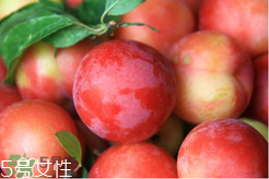 ?楊梅和李子能一起吃嗎？楊梅和李子一起吃會中毒嗎？
