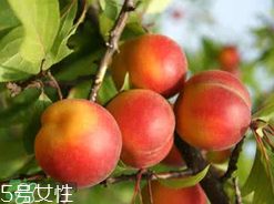 ?楊梅和李子能一起吃嗎？楊梅和李子一起吃會中毒嗎？