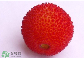 楊梅籽可以吃嗎？吃楊梅籽有什么好處？