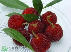 楊梅籽可以吃嗎？吃楊梅籽有什么好處？
