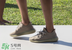 adidas yeezy 350 boost v2 dark green椰子350大地綠多少錢？