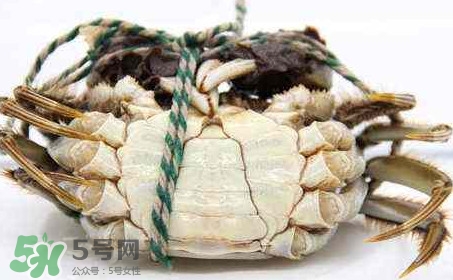 為什么說六月黃有公蟹沒有母蟹？怎樣區(qū)分螃蟹的公母