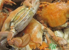 花蓋蟹死了能吃嗎？花蓋蟹死多久之內(nèi)能吃？