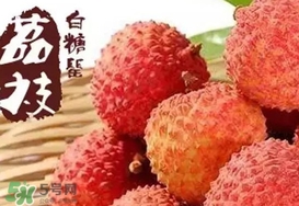 白糖罌荔枝多少錢一斤2017？白糖罌荔枝價格