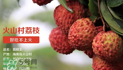 荔枝王是什么品種？荔枝王多少錢一斤2017？
