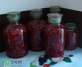 泡楊梅酒用什么瓶子？楊梅酒可以用塑料瓶泡嗎？