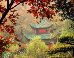 7月份去長(zhǎng)沙穿什么？七月份去長(zhǎng)沙穿什么衣服