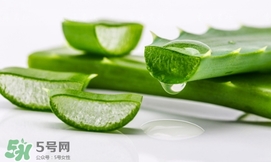 蘆薈面膜要敷多久？蘆薈面膜多久敷一次