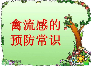 6月有禽流感嗎？2017年6月有禽流感嗎？