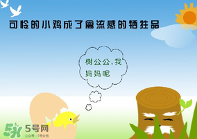 6月有禽流感嗎？2017年6月有禽流感嗎？