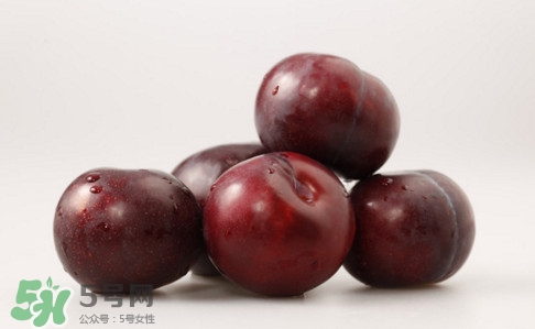 黑布林是寒性食物嗎？黑布林是熱性還是涼性？
