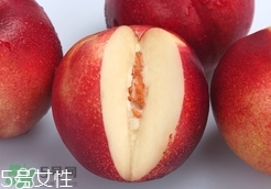 桃駁李是油桃嗎？桃駁李和油桃的區(qū)別