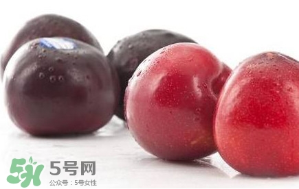 紅布林和黑布林哪個(gè)好？紅布林與黑布林的區(qū)別