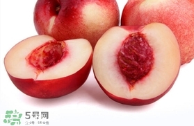 桃駁李是油桃嗎？桃駁李和油桃的區(qū)別