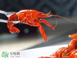 潛江小龍蝦有什么特色？潛江龍蝦節(jié)是每年什么時(shí)候？ 