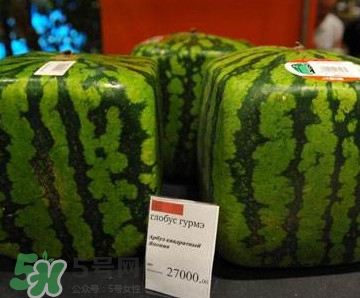 方形西瓜哪里有賣的？哪里可以買到方形西瓜