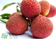 黑葉荔枝和妃子笑哪個(gè)好吃？黑葉荔枝和妃子笑的區(qū)別