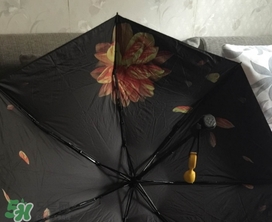 蕉下小黑傘能遮雨嗎？蕉下太陽(yáng)傘能淋雨嗎？