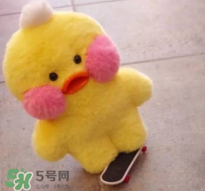 玻尿酸鴨哪里可以買到？一個玻尿酸鴨多少錢？