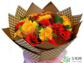 父親節(jié)可以送花嗎？父親節(jié)送什么花最合適？