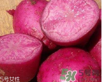紅土豆是轉(zhuǎn)基因的嗎？紅土豆和正常土豆的區(qū)別