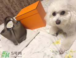 菜籃子包是什么牌子？菜籃子包是哪個品牌的？