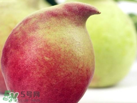 鷹嘴桃種植應(yīng)注意哪些？鷹嘴桃什么時(shí)間修剪