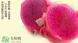 紅心火龍果對(duì)人體有哪些好處？紅心火龍果的禁忌