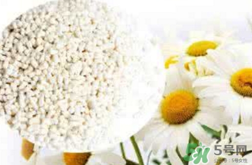 菊花晶是熱性還是涼性？菊花晶嬰兒可以喝嗎？