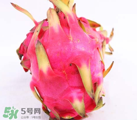 火龍果是酸性還是堿性？火龍果盆栽種植方法