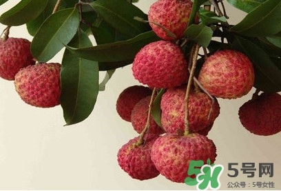糯米糍荔枝多少錢一斤2017？糯米糍荔枝市場價格