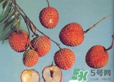 糯米糍荔枝產(chǎn)地是哪里？糯米糍荔枝上火嗎
