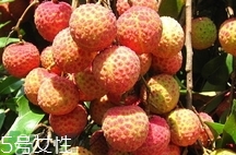 雞嘴荔枝多少錢一斤2017？香山雞嘴荔枝什么價錢