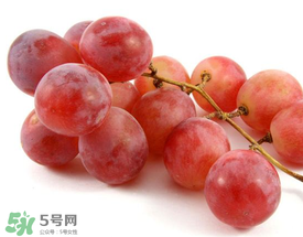 提子上的白色是什么？提子外面白色的是什么？