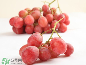 提子上的白色是什么？提子外面白色的是什么？