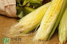 玉米須水什么人不能喝？玉米須煮水小孩能喝嗎？