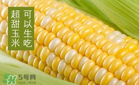 水果玉米是轉(zhuǎn)基因的嗎？水果玉米可以生吃嗎