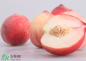 水蜜桃可以和酸奶一起吃嗎？水蜜桃酸奶的做法