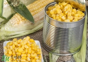 新鮮水果玉米怎么保存？水果玉米怎么儲存