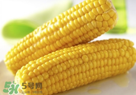 新鮮水果玉米怎么保存？水果玉米怎么儲存