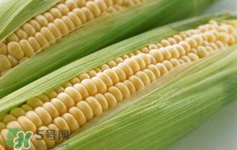 水果玉米熱量高嗎？一根水果玉米的熱量是多少