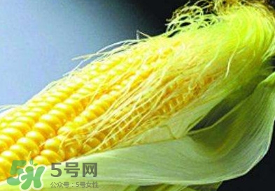 玉米須怎么吃降血糖？玉米須如何降血糖