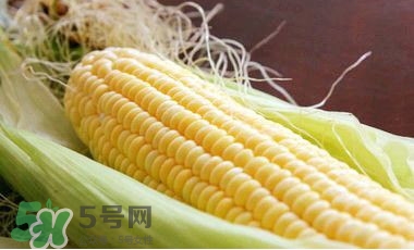 水果玉米是甜玉米嗎？水果玉米和甜玉米的區(qū)別