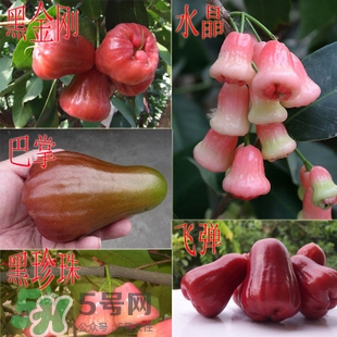 蓮霧什么季節(jié)吃最好？什么品種的蓮霧最好吃